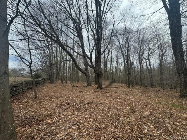 Lot 4 Shaver Hill Road Property Photo 12