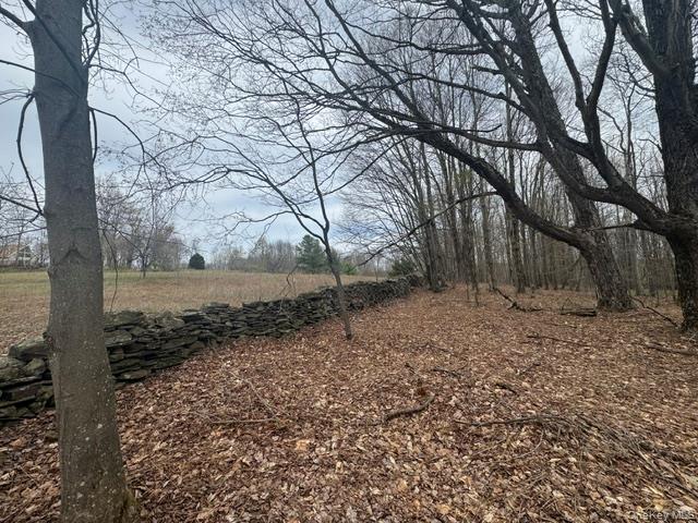 Lot 4 Shaver Hill Road Property Photo 13