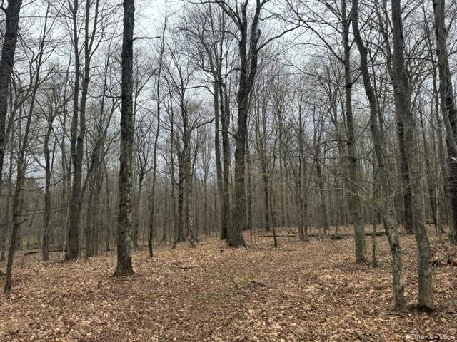 Lot 4 Shaver Hill Road Property Photo 14