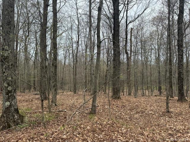 Lot 4 Shaver Hill Road Property Photo 15
