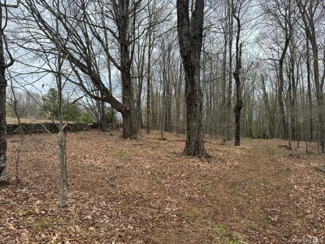 Lot 4 Shaver Hill Road Property Photo 16