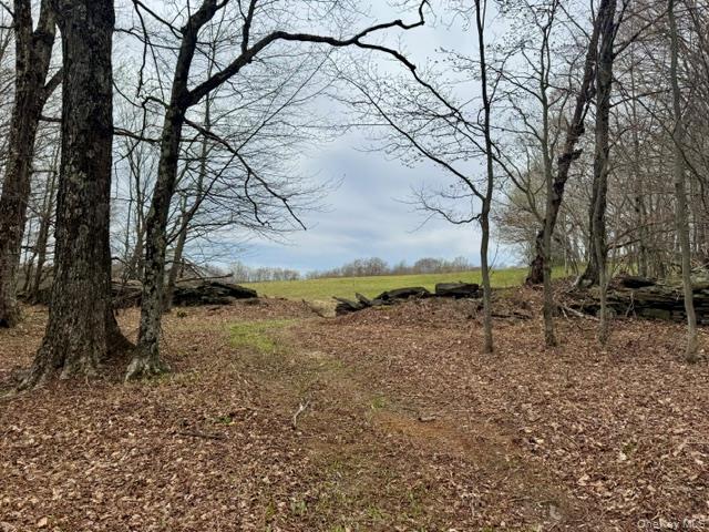 Lot 4 Shaver Hill Road Property Photo 17
