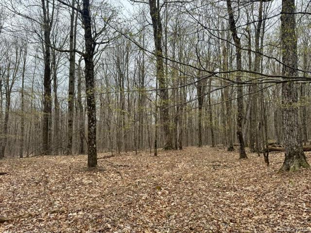 Lot 4 Shaver Hill Road Property Photo 18