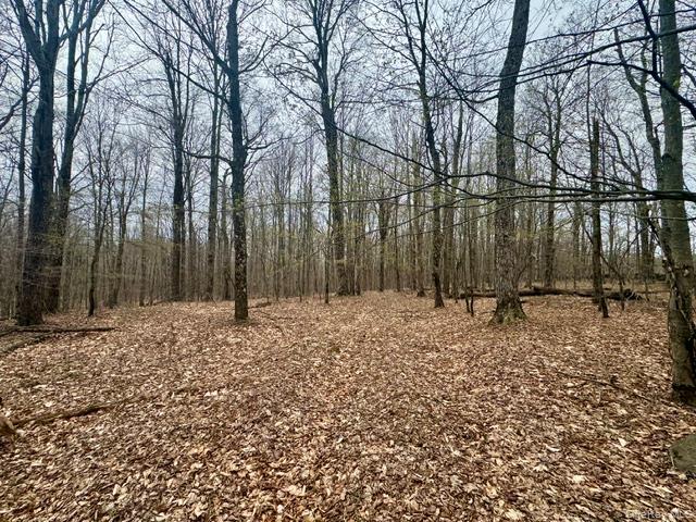 Lot 4 Shaver Hill Road Property Photo 19