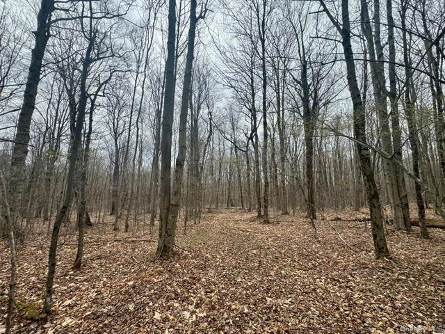 Lot 4 Shaver Hill Road Property Photo 20