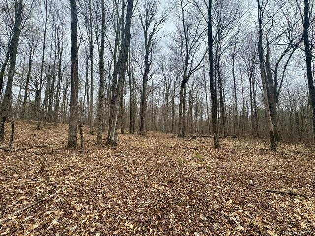 Lot 4 Shaver Hill Road Property Photo 21