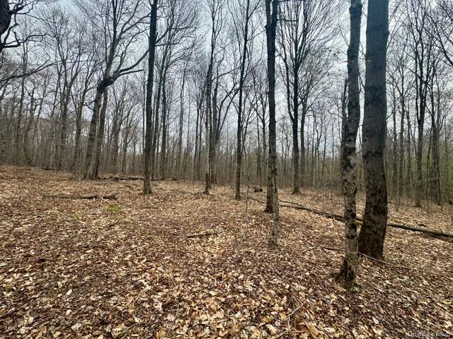 Lot 4 Shaver Hill Road Property Photo 22