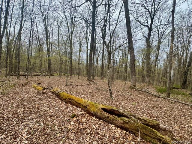 Lot 4 Shaver Hill Road Property Photo 23