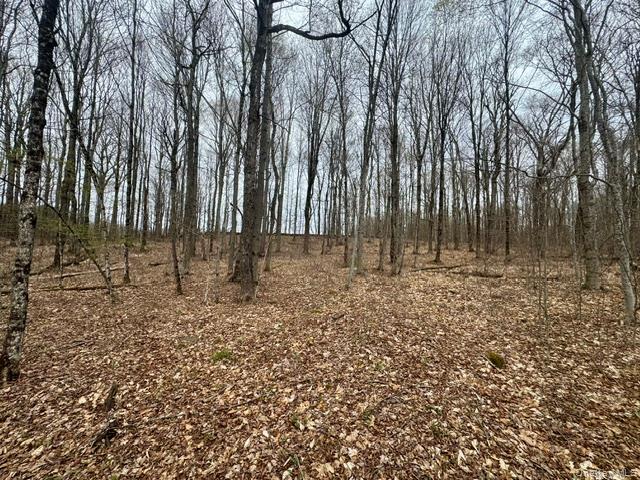 Lot 4 Shaver Hill Road Property Photo 24