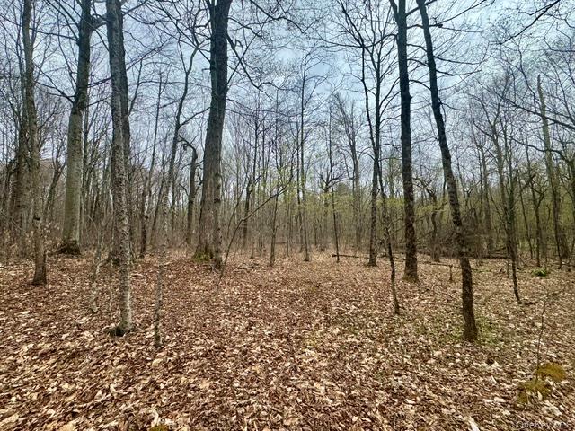 Lot 4 Shaver Hill Road Property Photo 25