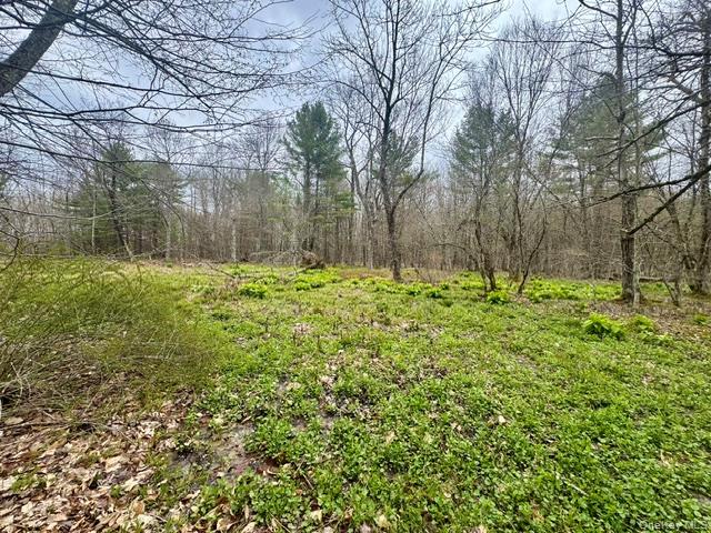 Lot 4 Shaver Hill Road Property Photo 26