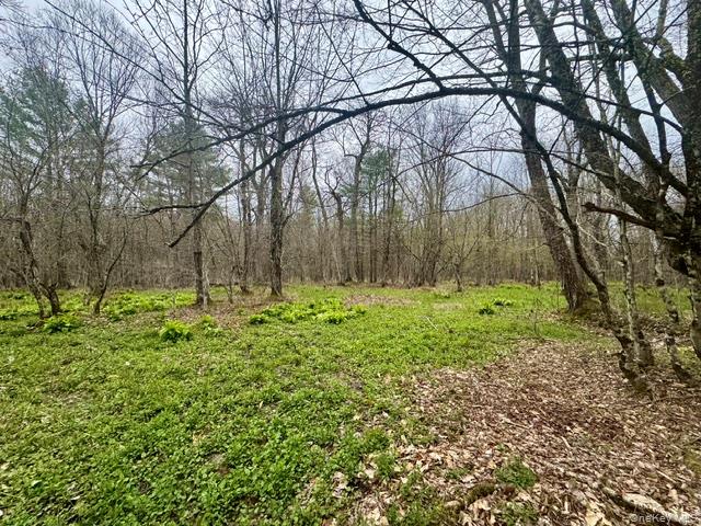 Lot 4 Shaver Hill Road Property Photo 27