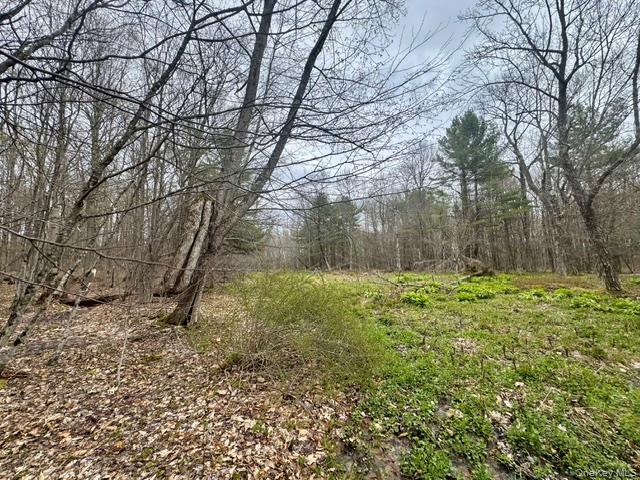 Lot 4 Shaver Hill Road Property Photo 28