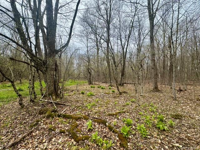 Lot 4 Shaver Hill Road Property Photo 29