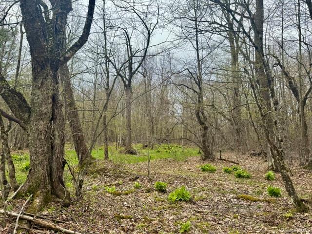 Lot 4 Shaver Hill Road Property Photo 30