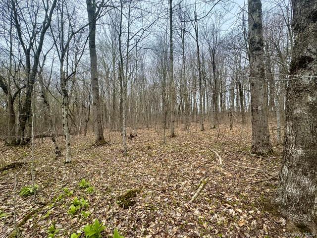 Lot 4 Shaver Hill Road Property Photo 31