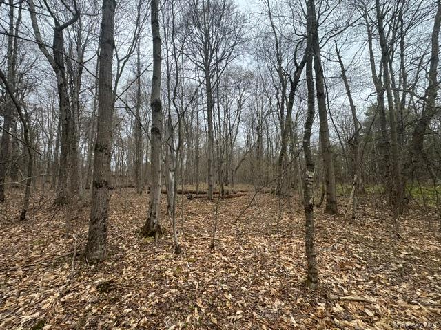 Lot 4 Shaver Hill Road Property Photo 32