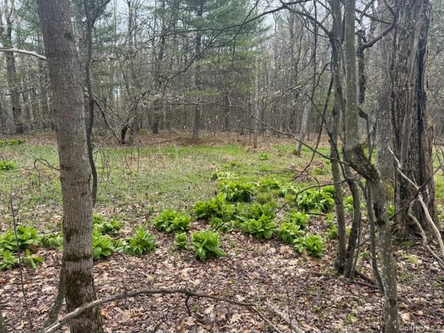 Lot 4 Shaver Hill Road Property Photo 33