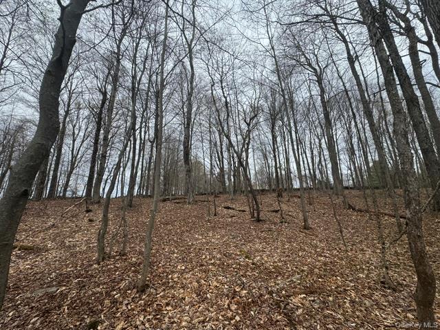 Lot 4 Shaver Hill Road Property Photo 34