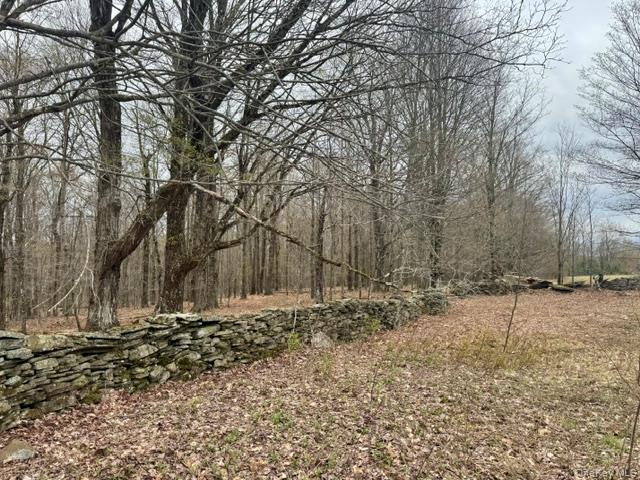 Lot 4 Shaver Hill Road Property Photo 35