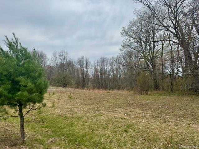 Lot 4 Shaver Hill Road Property Photo 36