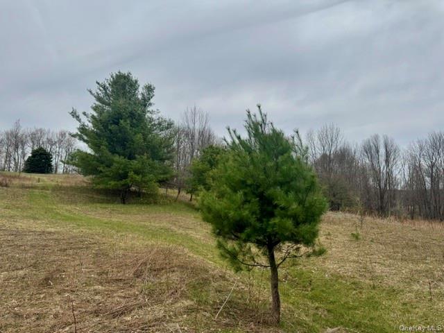 Lot 4 Shaver Hill Road Property Photo 37