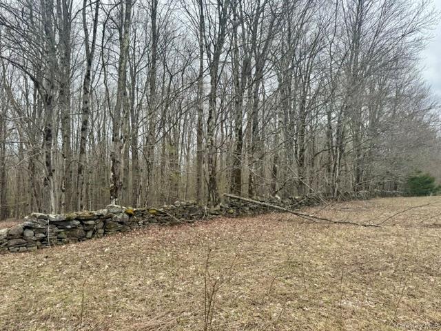 Lot 4 Shaver Hill Road Property Photo 38