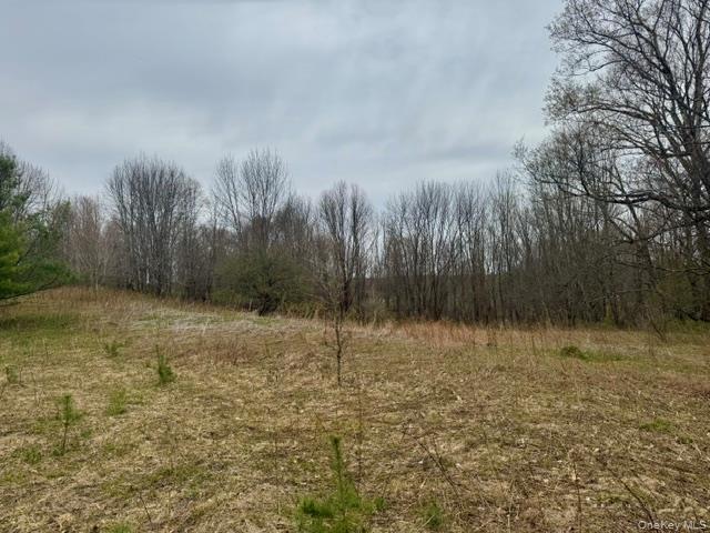 Lot 4 Shaver Hill Road Property Photo 39