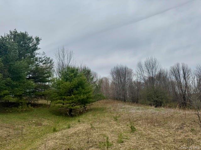 Lot 4 Shaver Hill Road Property Photo 40