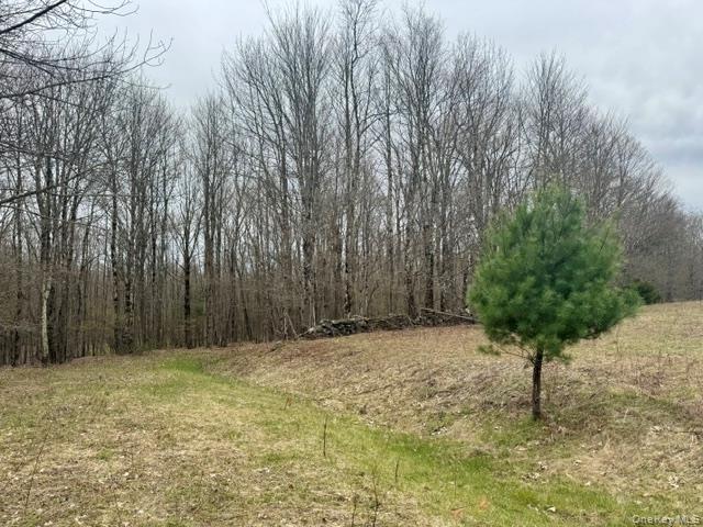Lot 4 Shaver Hill Road Property Photo 41