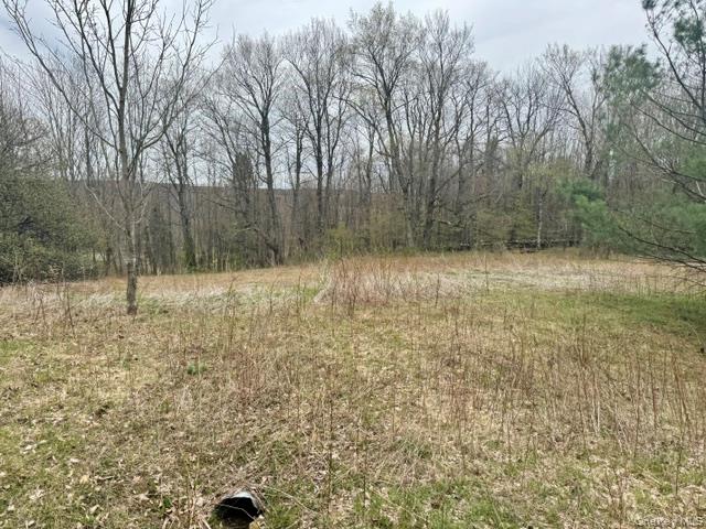 Lot 4 Shaver Hill Road Property Photo 42