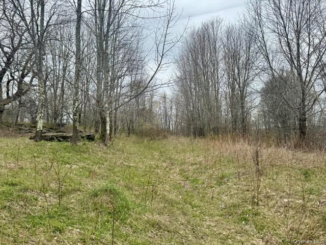 Lot 4 Shaver Hill Road Property Photo 43