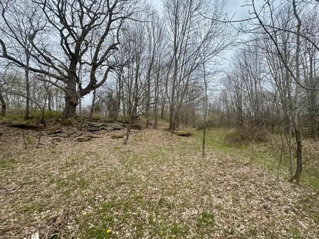 Lot 4 Shaver Hill Road Property Photo 44