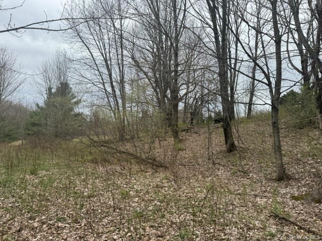 Lot 4 Shaver Hill Road Property Photo 45