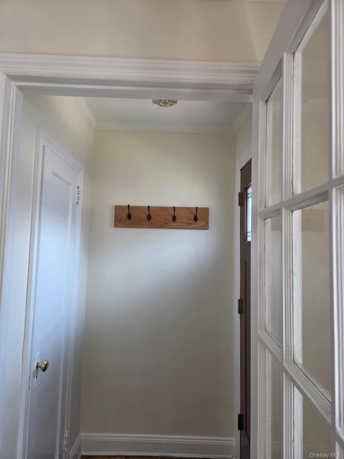 55-05 84th Street Property Photo 3