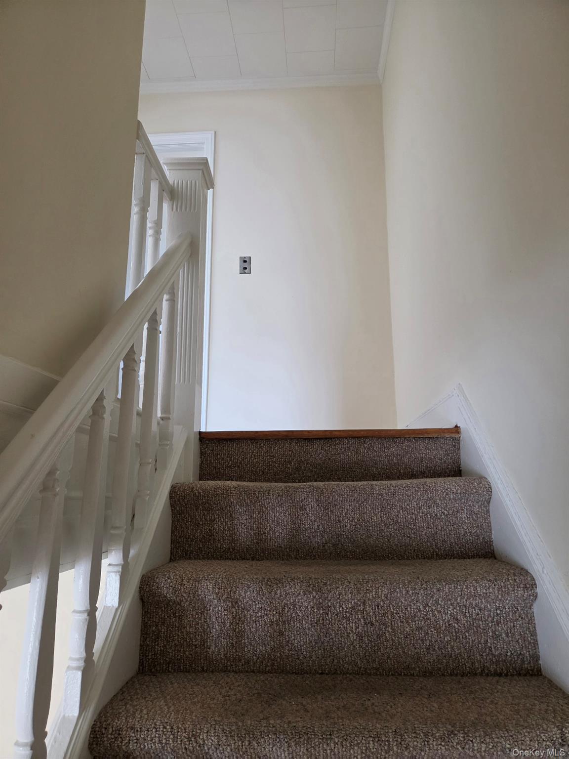55-05 84th Street Property Photo 10