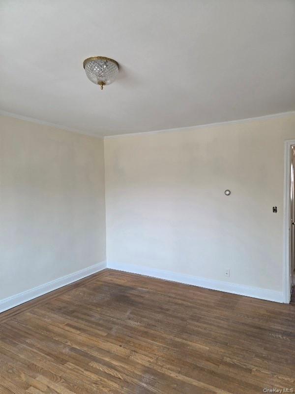 55-05 84th Street Property Photo 14