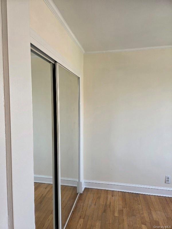 55-05 84th Street Property Photo 15