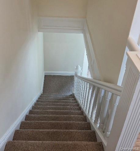 55-05 84th Street Property Photo 17