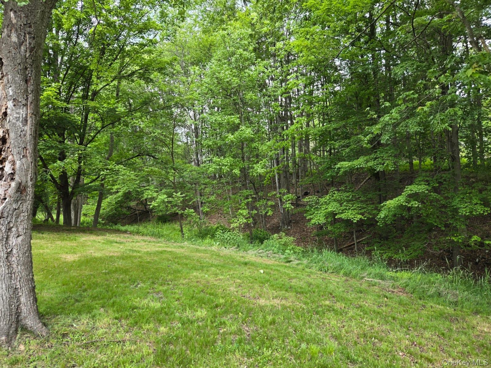 Overlook Avenue Property Photo 1