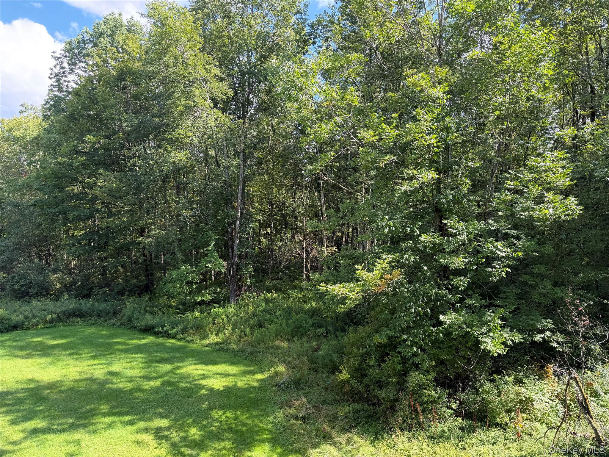 587 Dutch Hill Road Property Photo 15