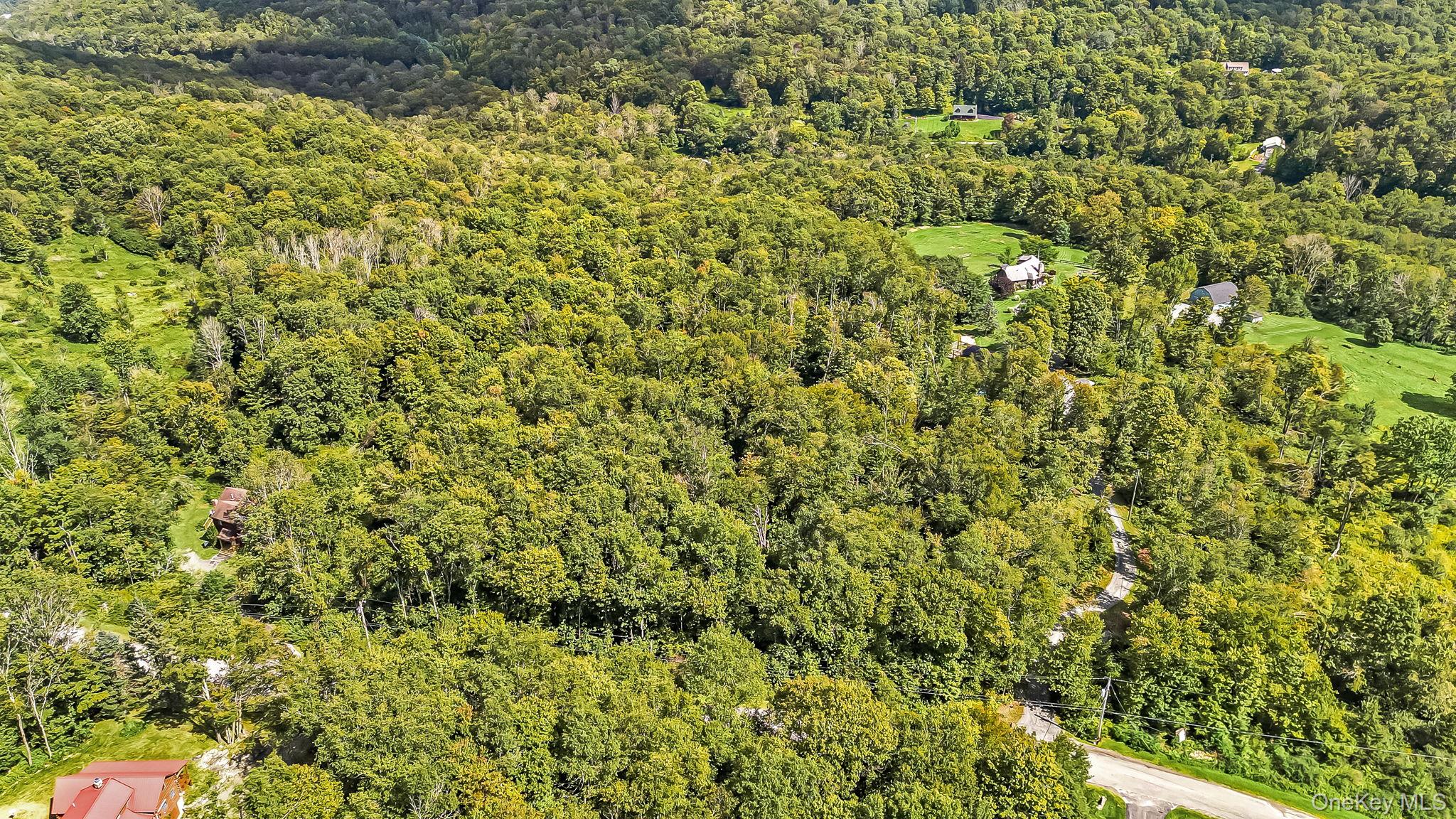 587 Dutch Hill Road Property Photo 32