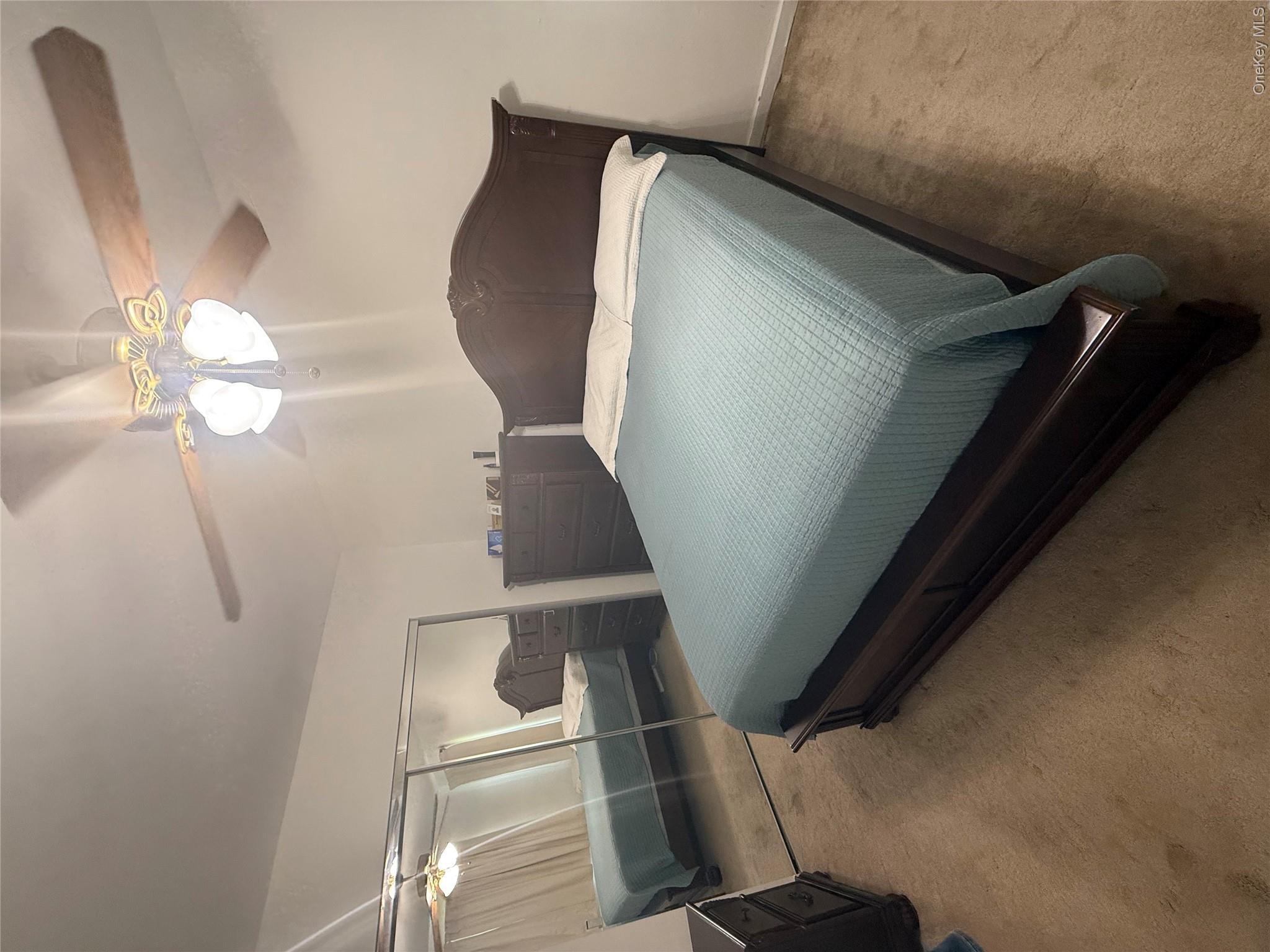 42 Winchester Avenue 2a Property Photo 7