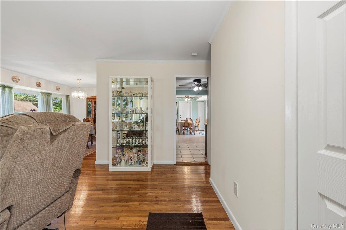 3 Cherry Street Property Photo 4