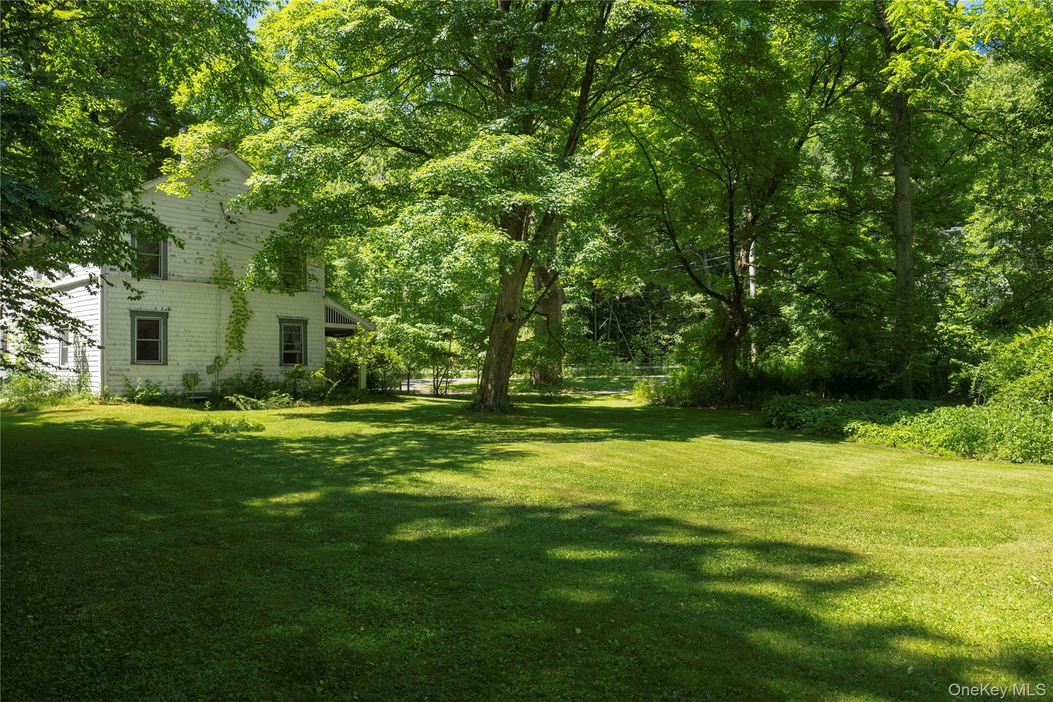 50 Mill Road Property Photo 4