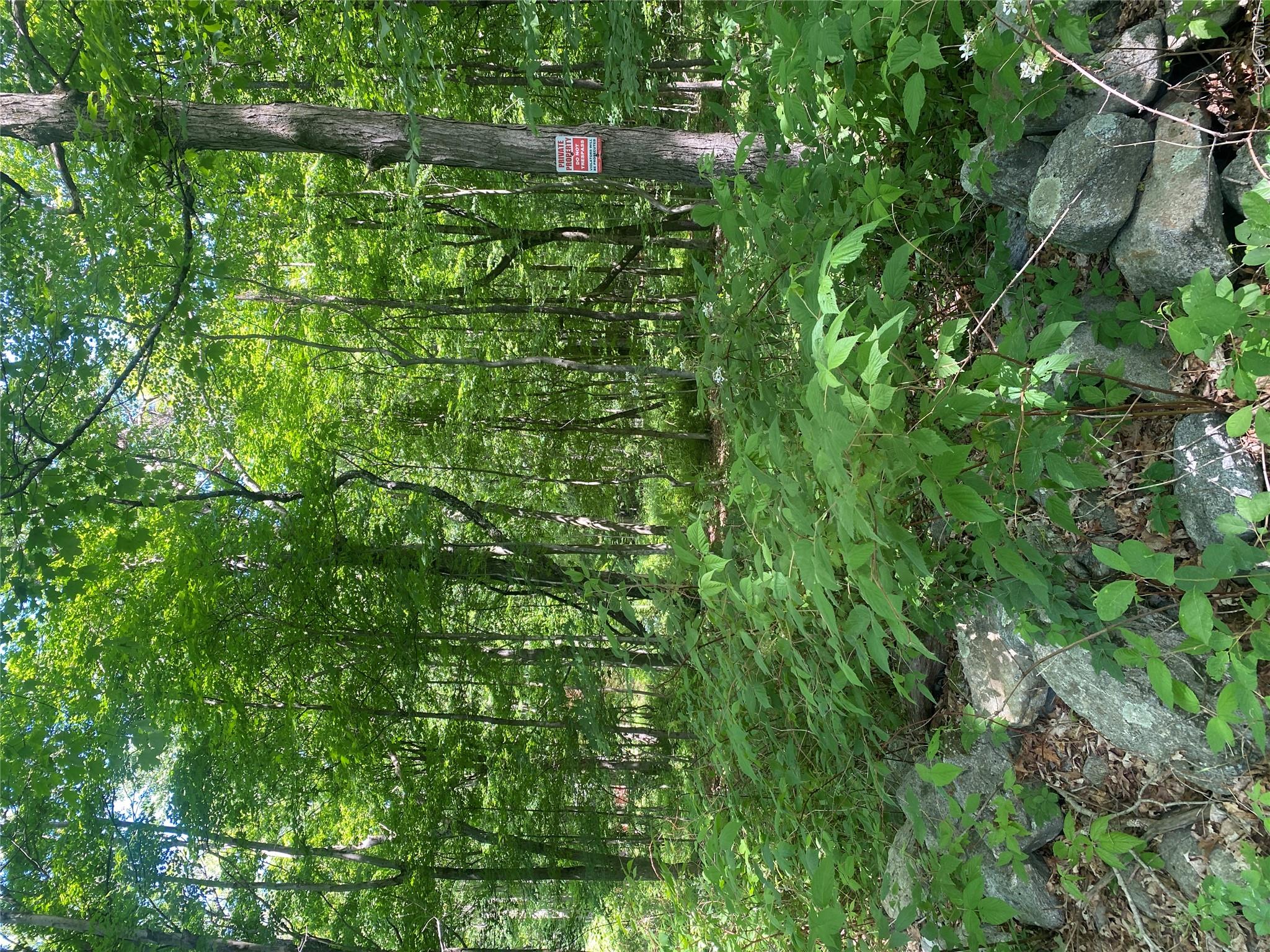 123 Meads Farm Road Property Photo 1