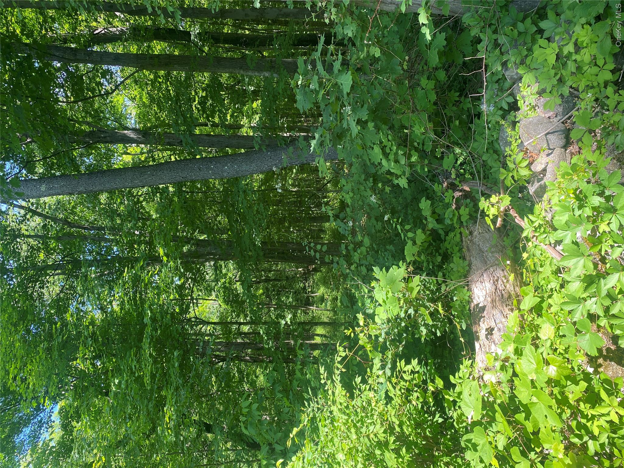 123 Meads Farm Road Property Photo 2