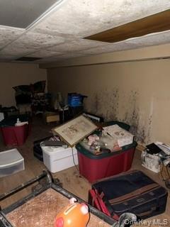 1117 Cedar Ridge Road Property Photo 28