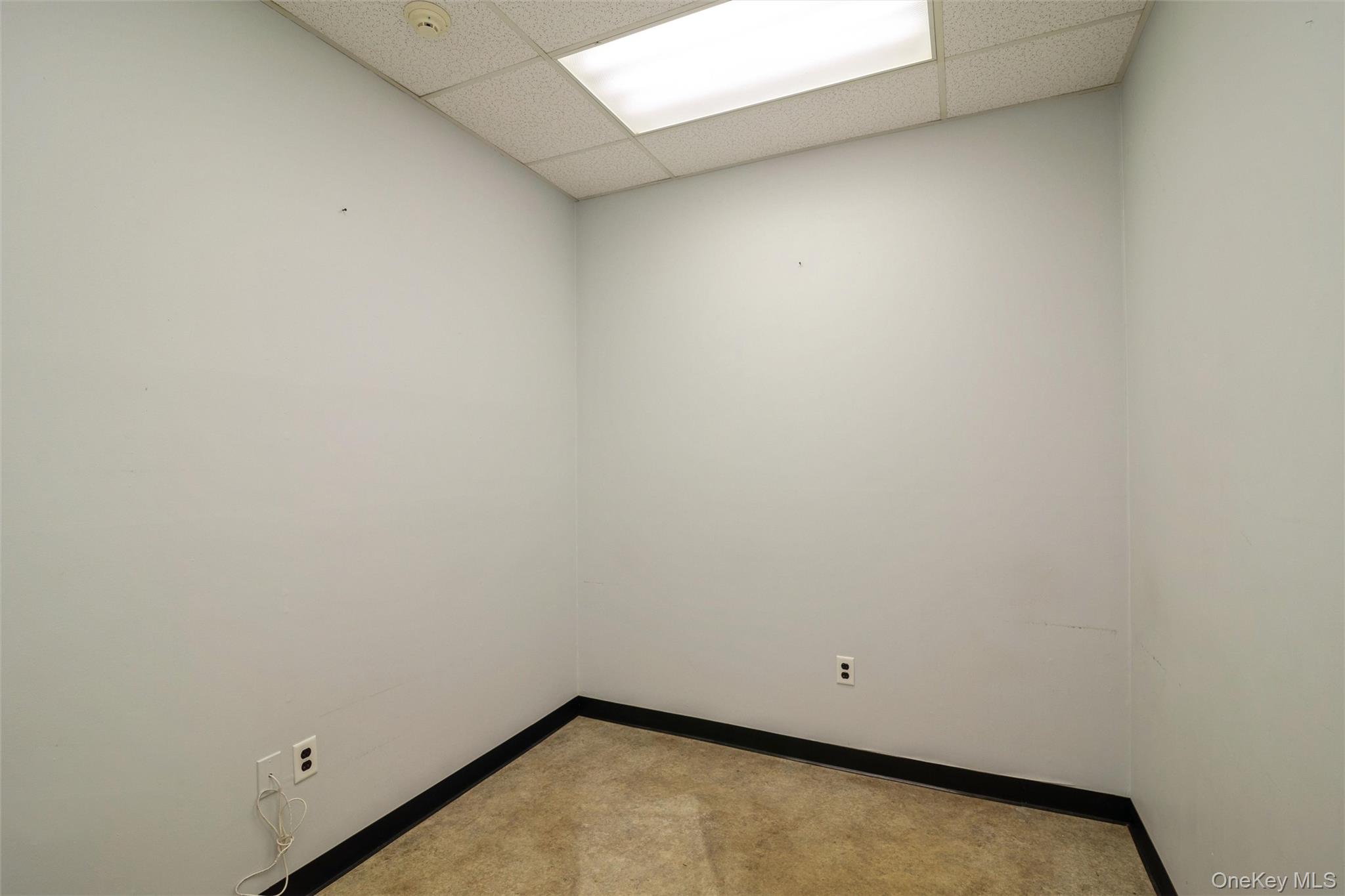 1641a Medford Avenue Property Photo 15