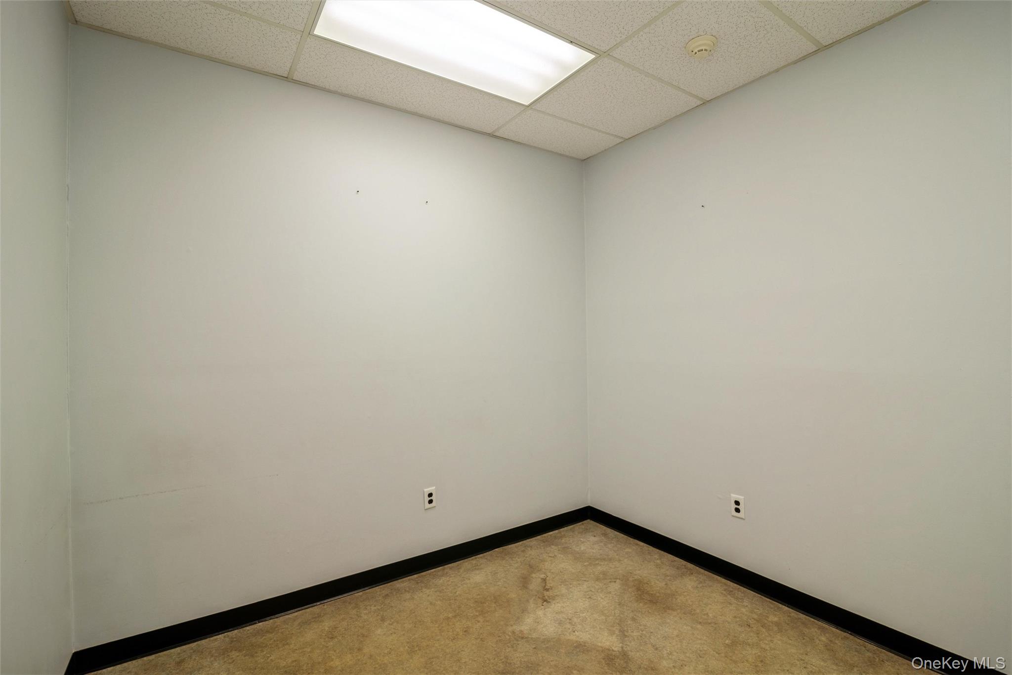1641a Medford Avenue Property Photo 17